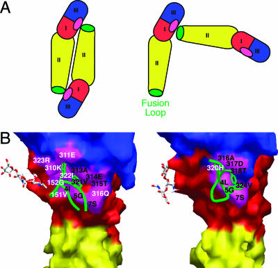 FIG. 4.