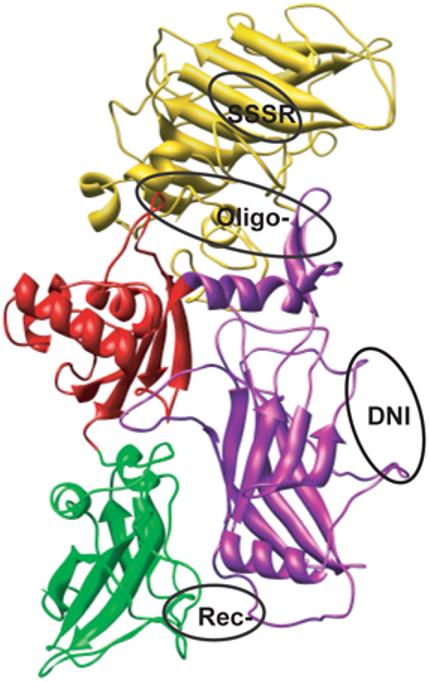 FIG. 7