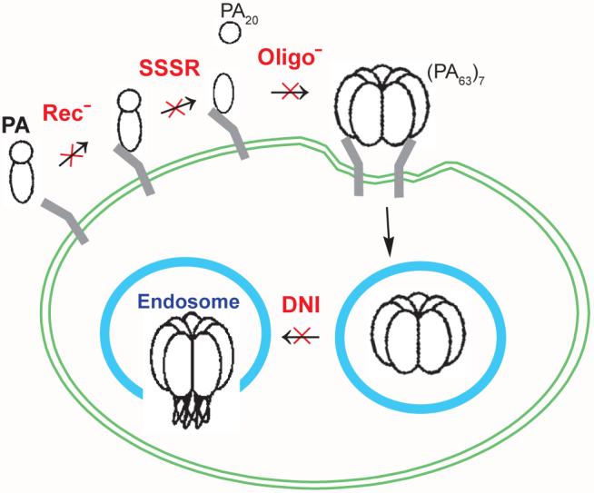 FIG. 6