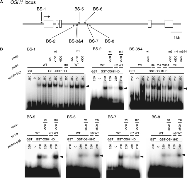 Figure 6.