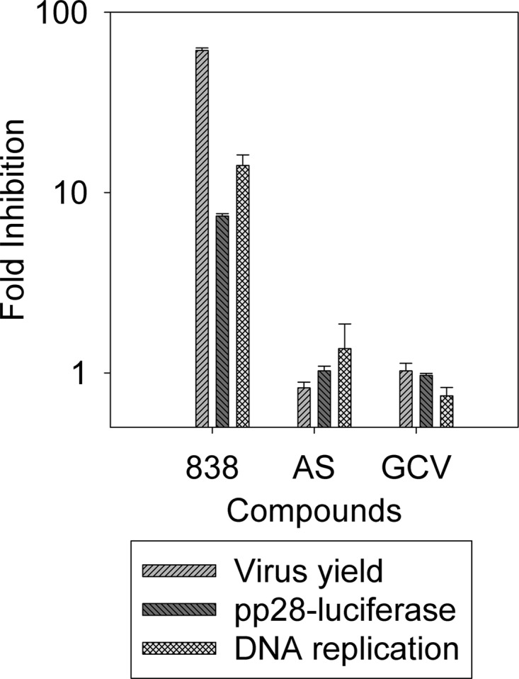 Fig 5