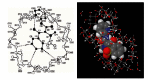 Fig. (4)