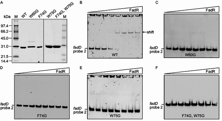 Figure 6