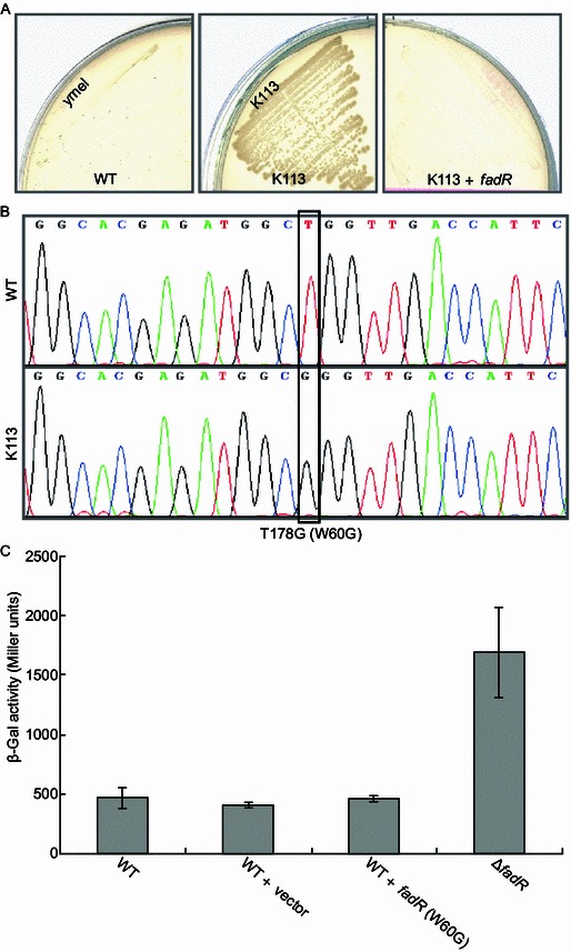 Figure 2