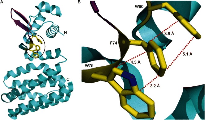 Figure 5