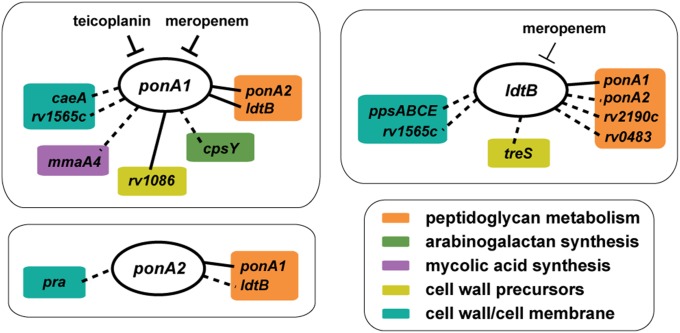 Fig. 6.