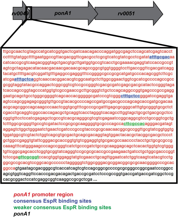 Fig. S3.