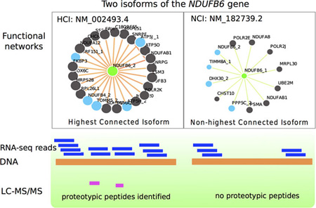 graphic file with name nihms784164f5.jpg