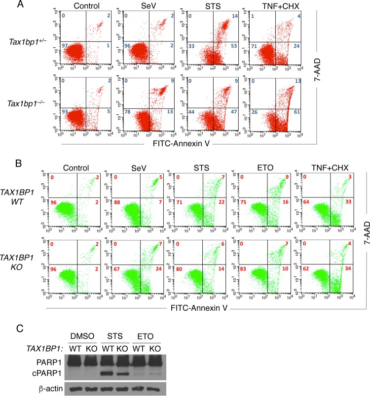 FIG 2