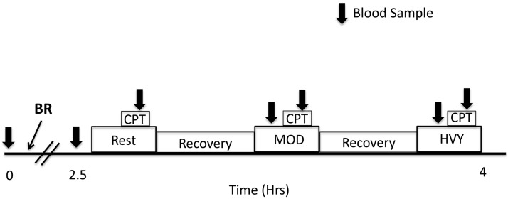 Fig. 1.