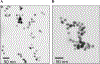 Fig. 9.