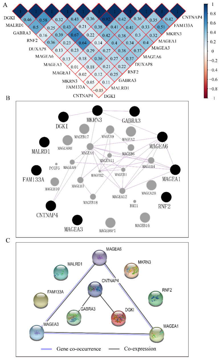 Figure 10