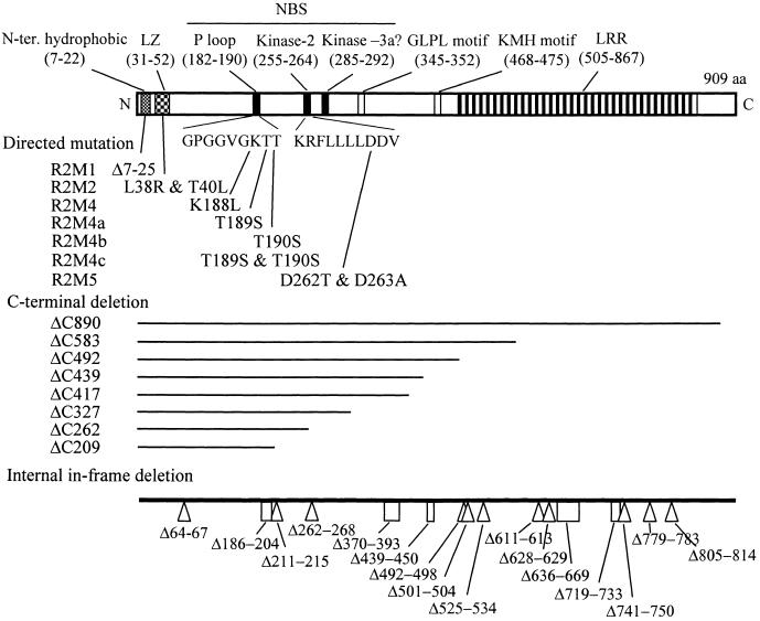 Figure 1.