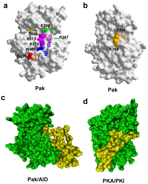 Figure 7