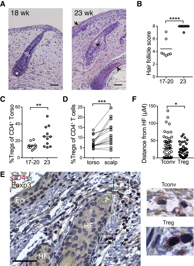 Figure 6