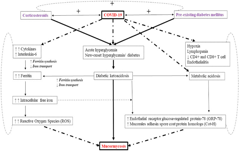 Fig. 1