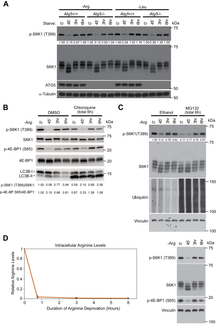 Figure 3