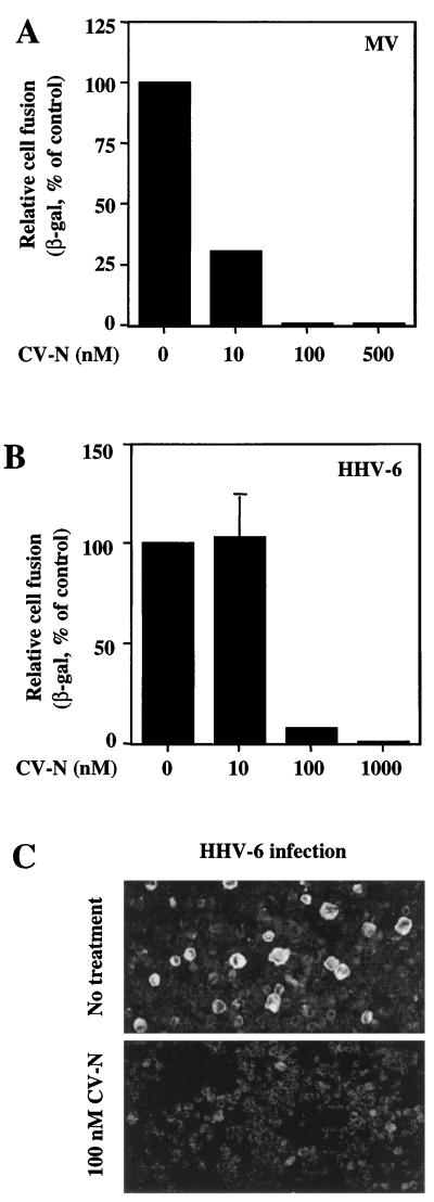 FIG. 7