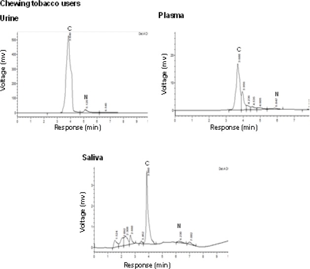 Figure 2b