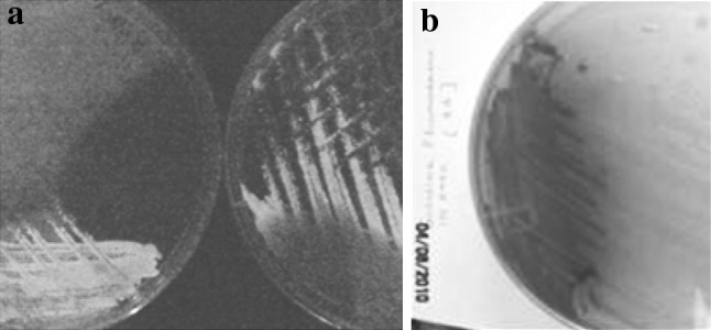 Fig. 3