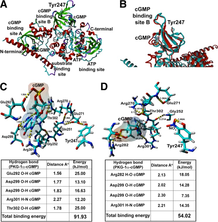 FIGURE 6.