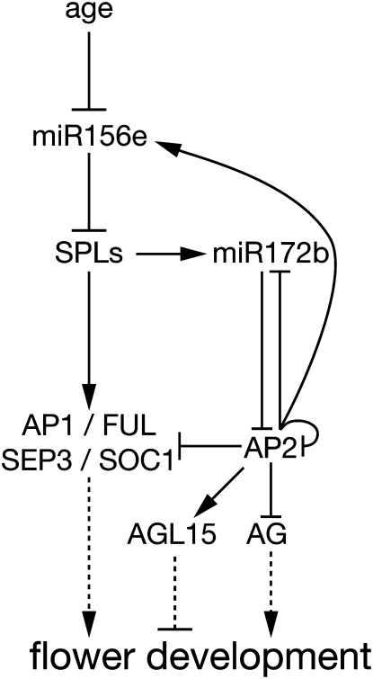 Figure 7.