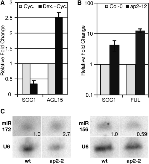 Figure 6.