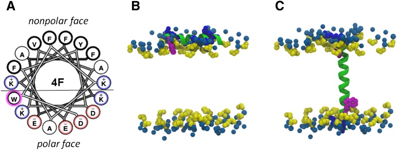 Fig. 8.