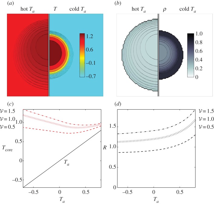 Figure 6.