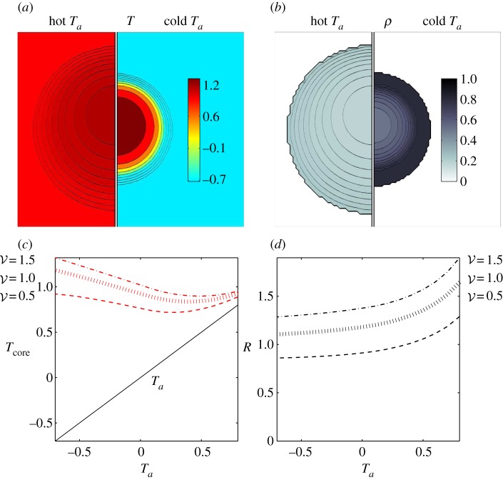 Figure 3.