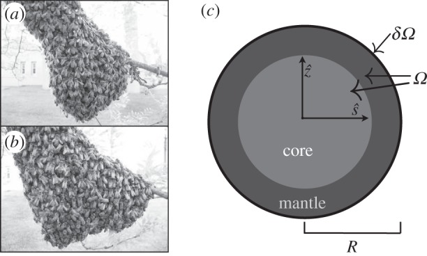 Figure 1.