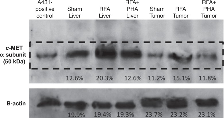 Figure 3c: