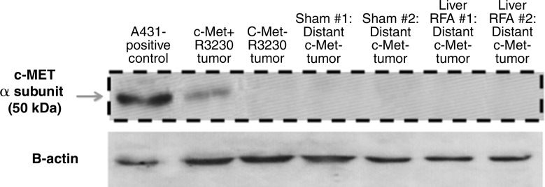 Figure 5a: