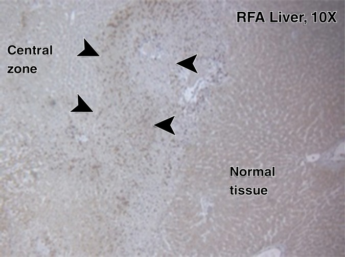 Figure 3a: