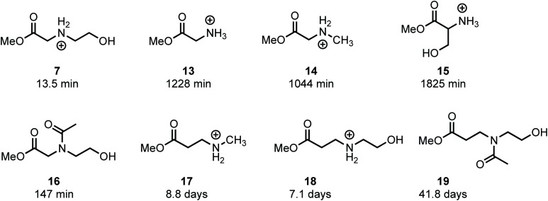 Fig. 14