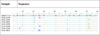 Fig. 4.