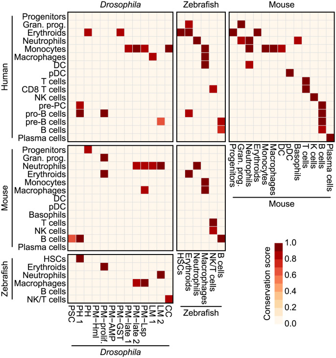 Fig 6