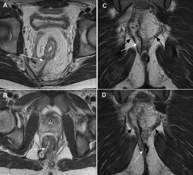 Figure 7)