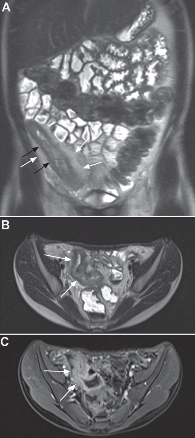 Figure 1)