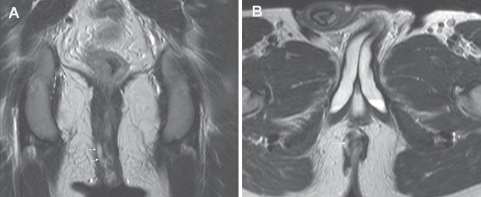 Figure 4)