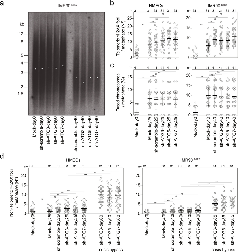 Extended Data Fig. 5 |