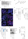 Extended Data Fig. 9 |