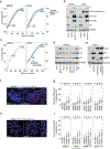 Extended Data Fig. 1 |