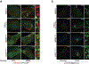 Extended Data Fig. 3 |