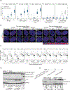 Extended Data Fig. 7 |