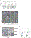 Extended Data Fig. 2 |