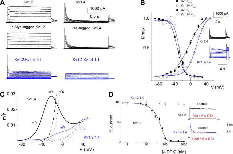 Fig. 9.