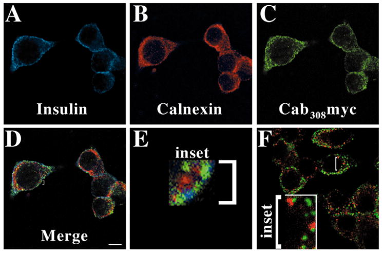 Fig. 9