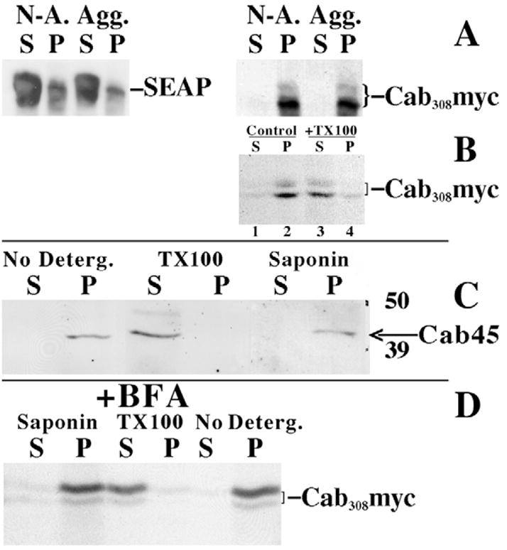 Fig. 10