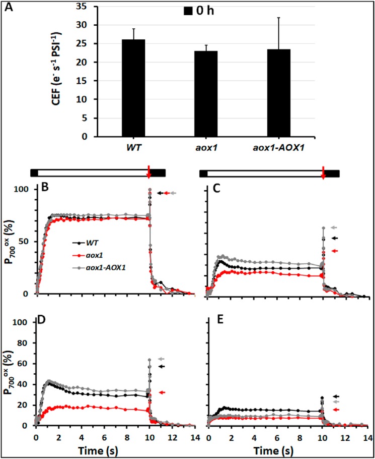 Figure 5.